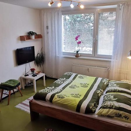 Apartman V Jihlava City Exterior foto